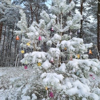 Ich hatte vor Weihnachten einen Baum mit meinen Glöckchen und Sternen im Wald geschmückt. Jeder der Freude daran hatte, konnte sich etwas abnehmen. 😉. Der Baum war nach Weihnachten leer.