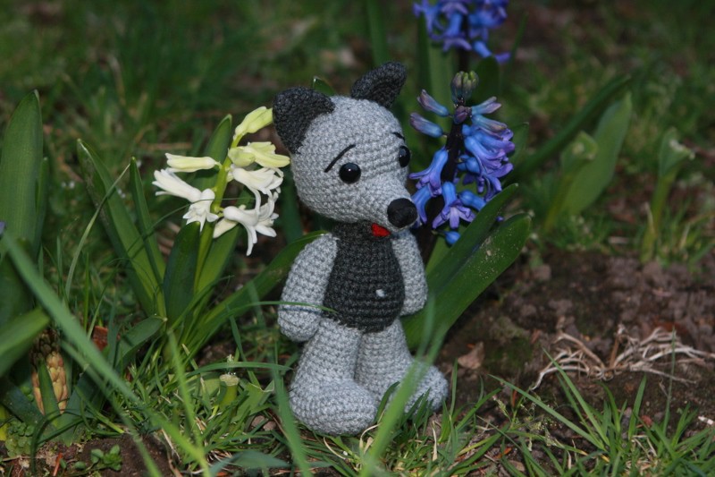 Blog-Inhaltsbild für 'Die wilden Kerle'