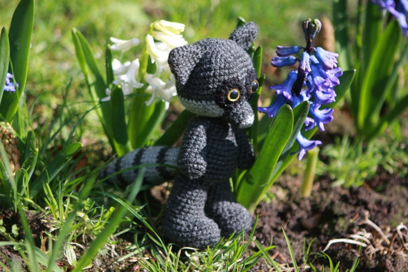 Blog-Inhaltsbild für 'Die wilden Kerle'