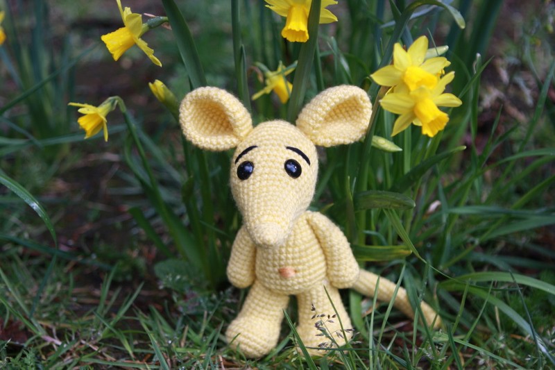 Blog-Inhaltsbild für 'Die wilden Kerle'