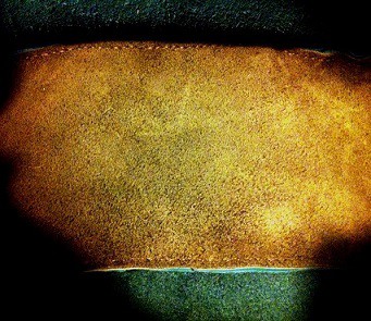 Blog-Inhaltsbild für 'Tasche Bonnie'