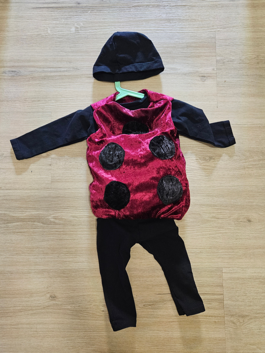 Blog-Inhaltsbild für 'Schnelles Kostüm für Kleinkinder nähen'