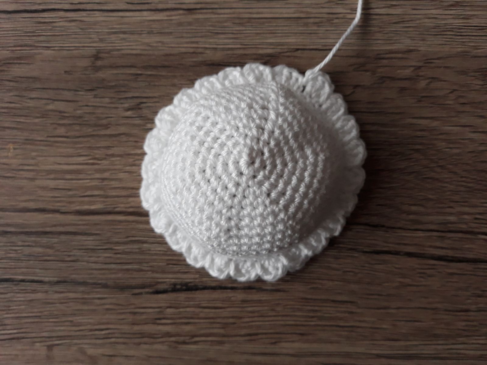 Blog-Inhaltsbild für 'Hennenmama mit ihren Kükenkindern'