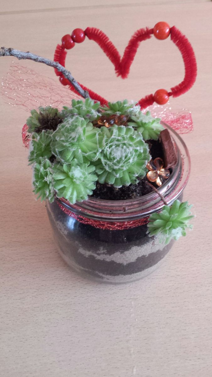 Blog-Inhaltsbild für 'Spätsommerliches Floristik-Arrangement'