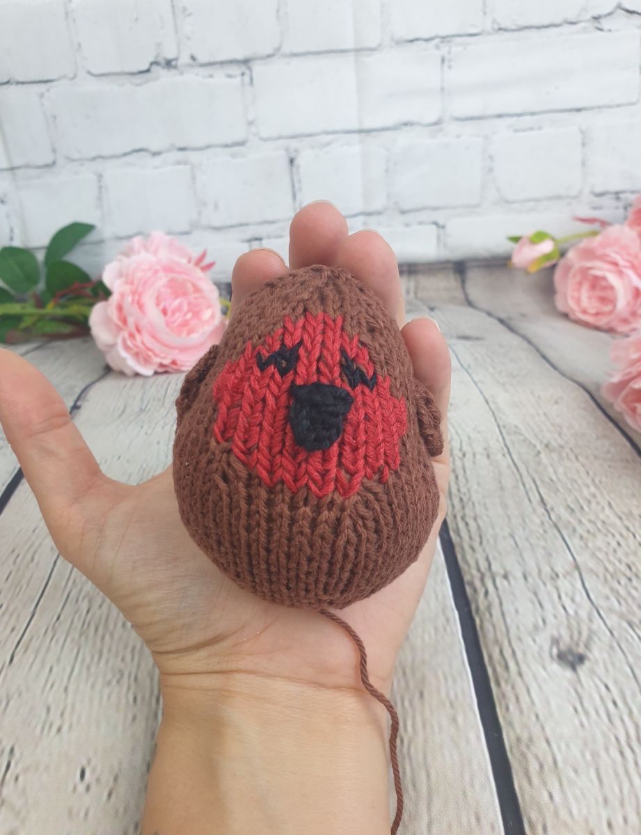 Blog-Inhaltsbild für 'Kostenlose Strickanleitung für ein Robin Schmusetuch'