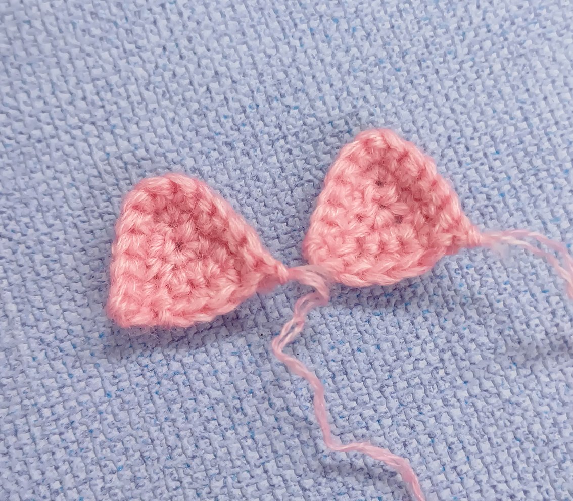 Blog-Inhaltsbild für 'Neujahrskomposition mit einem Ferkel'