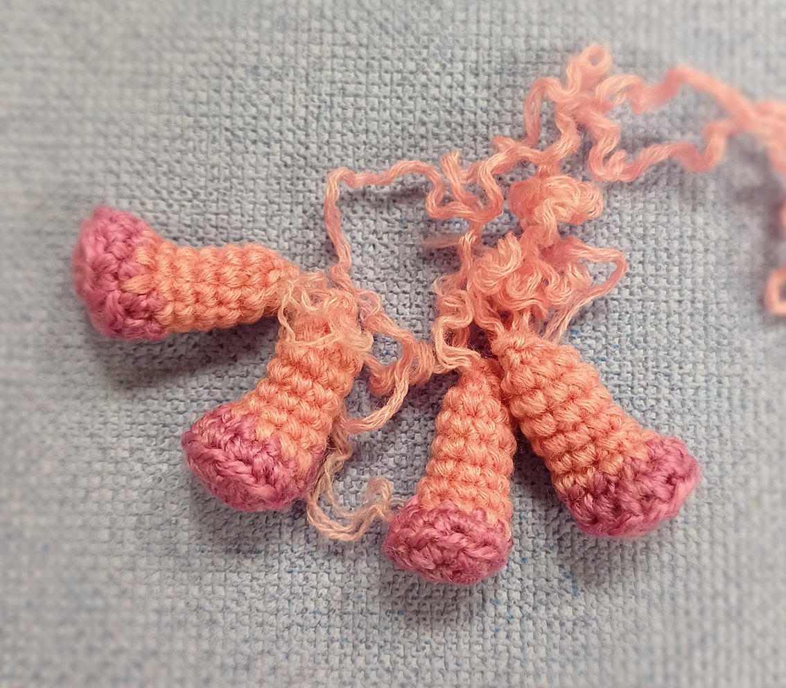 Blog-Inhaltsbild für 'Neujahrskomposition mit einem Ferkel'