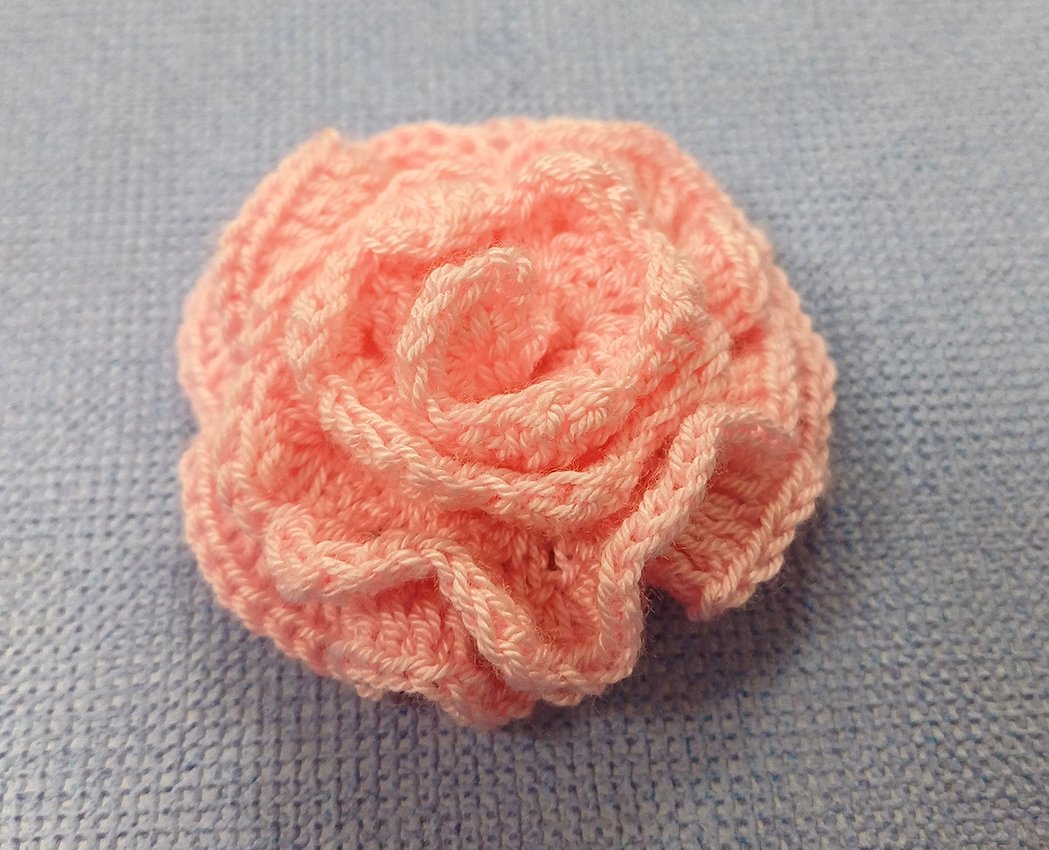 Blog-Inhaltsbild für 'Eine Topfrose'