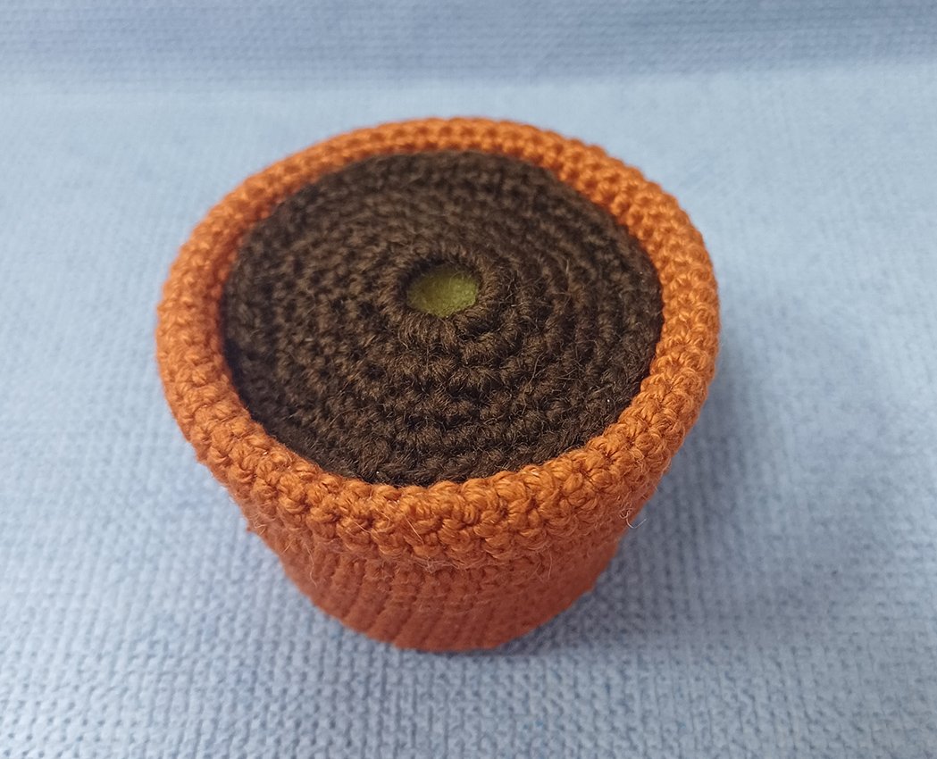 Blog-Inhaltsbild für 'Eine Topfrose'