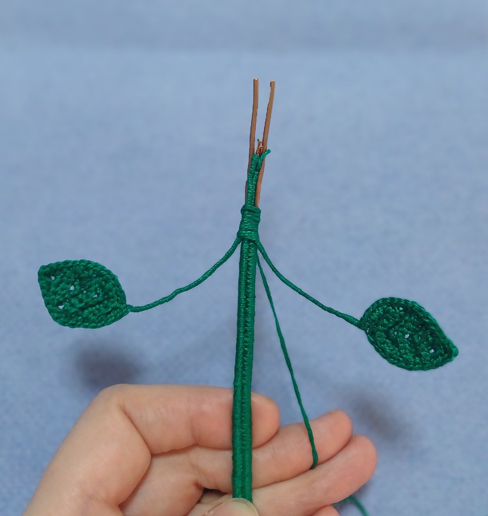 Blog-Inhaltsbild für 'Eine Topfrose'