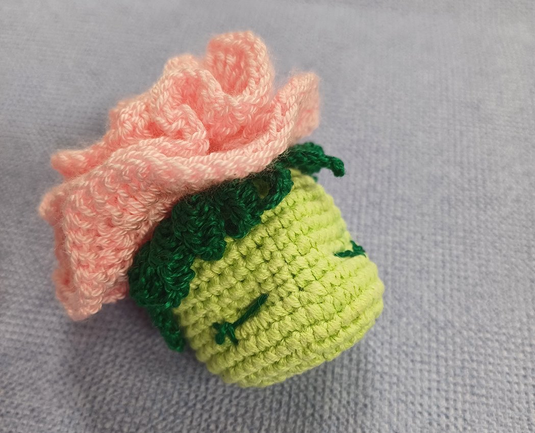 Blog-Inhaltsbild für 'Eine Topfrose'