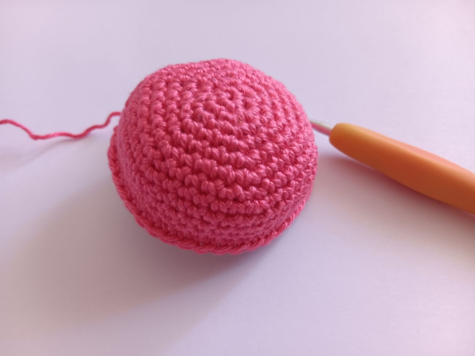 Blog-Inhaltsbild für 'Kostenlose Häkelanleitung für Meerestiere'