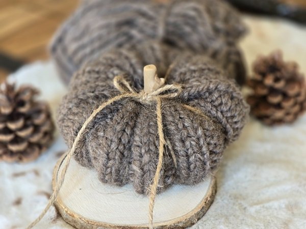 Blog-Inhaltsbild für 'Kostenlose Kürbis Strickanleitung'