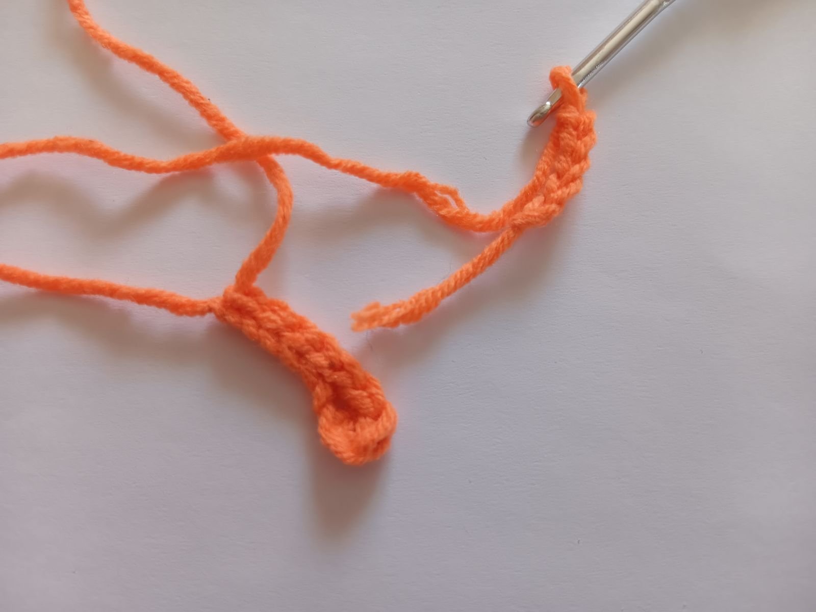 Blog-Inhaltsbild für 'Insekten häkeln. Kostenlose Häkelanleitung'