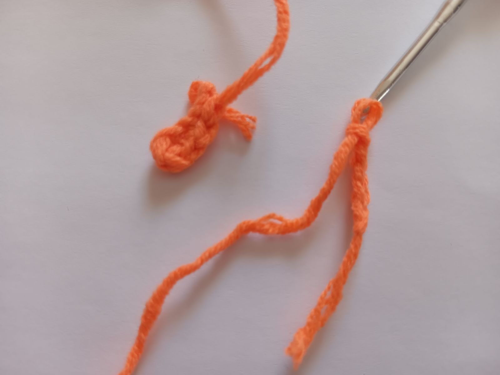 Blog-Inhaltsbild für 'Insekten häkeln. Kostenlose Häkelanleitung'