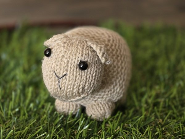 Blog-Inhaltsbild für 'Kostenlose Strickanleitung für ein Schaf'