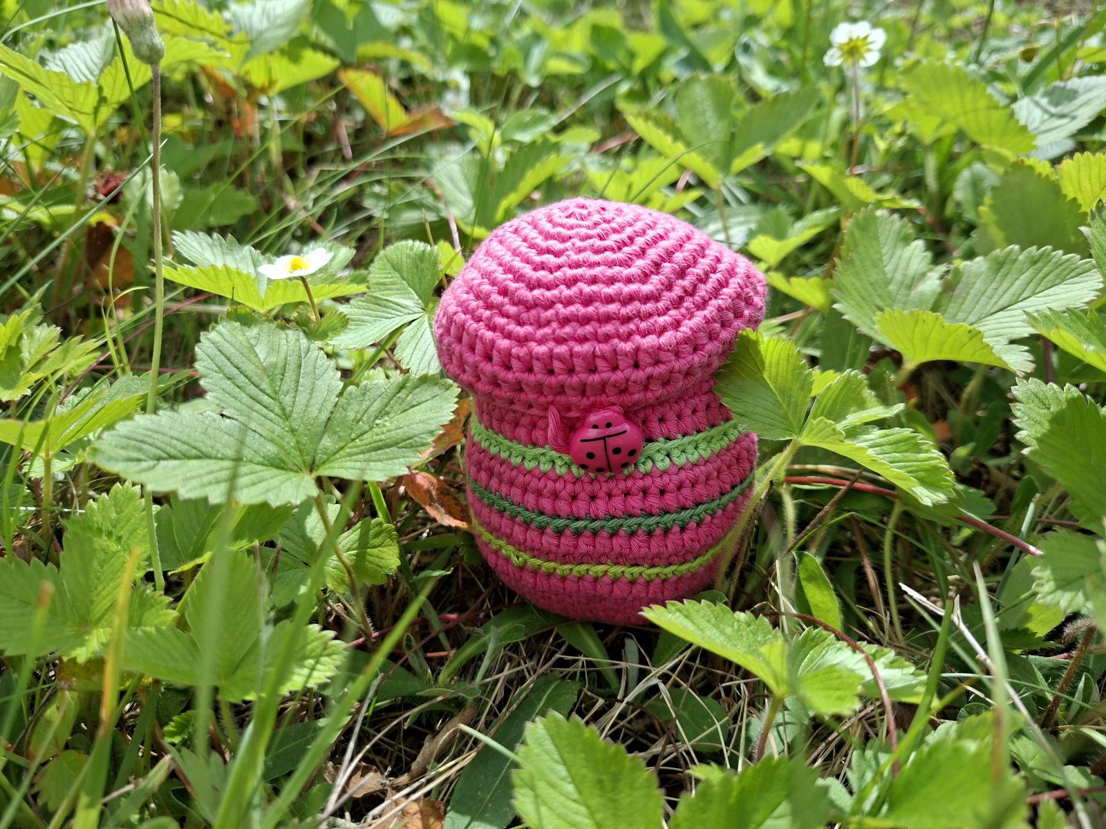 Blog content image for 'Free Crochet Pattern for Hatching Frog Amigurumi'