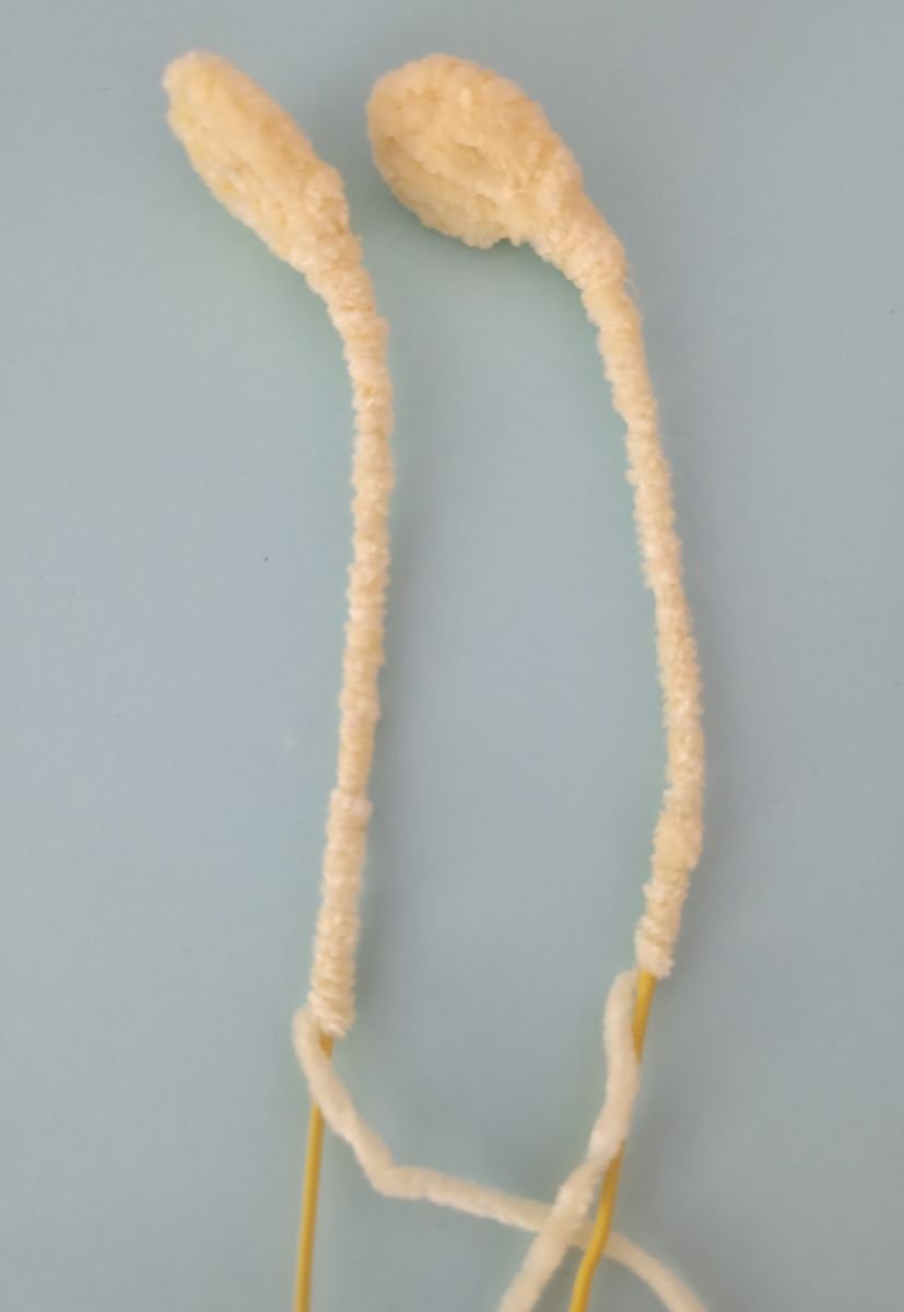 Blog content image for 'The knitted Bee'