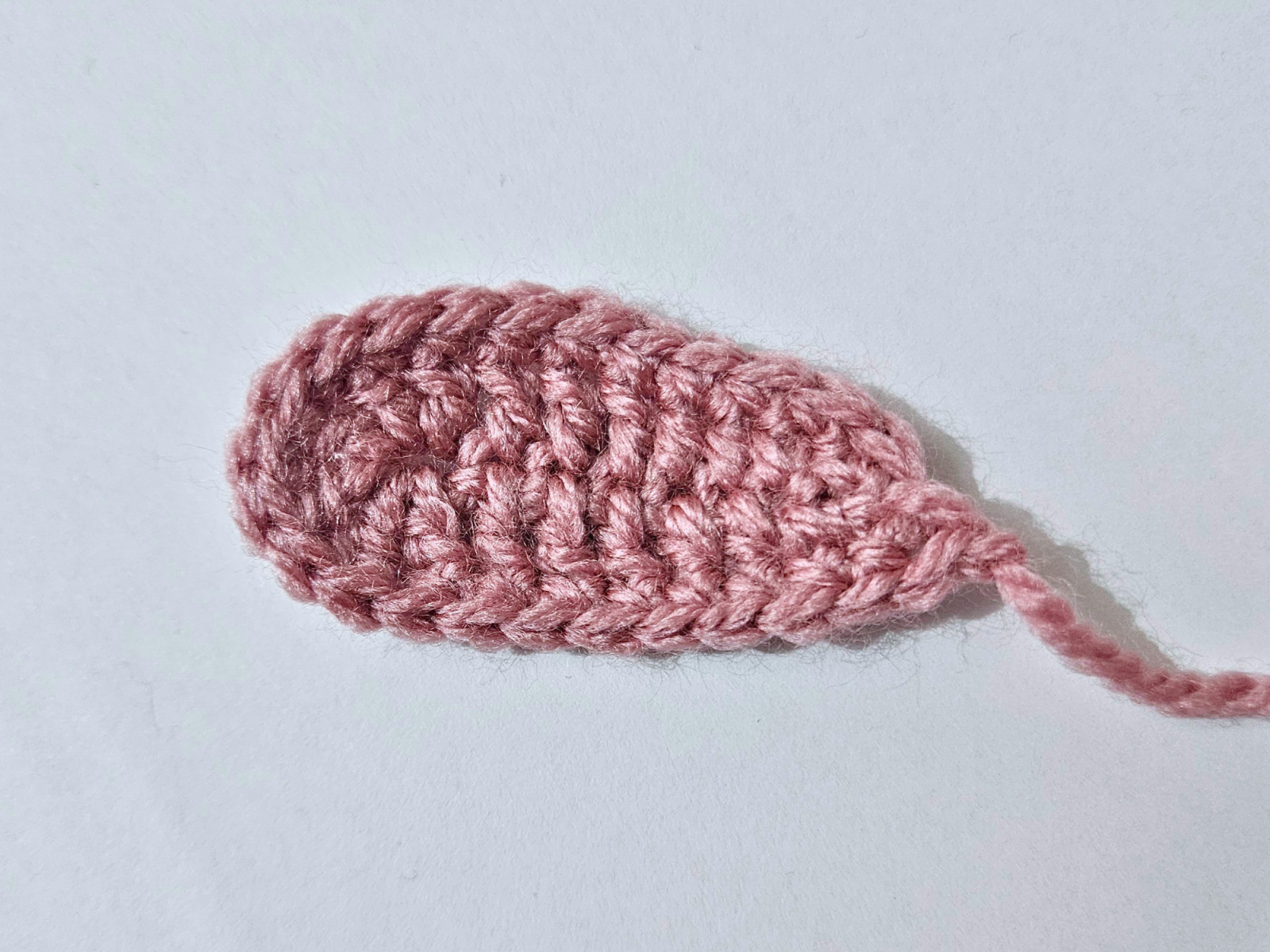 Blog content image for 'Free crochet pattern: Christmas Elf Poinsettia'