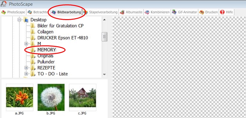 Blog-Inhaltsbild für 'Kostenlose Bastelanleitung Memory-Spiel aus Filz mit Wechselbilderrahmen'