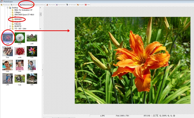 Blog-Inhaltsbild für 'Kostenlose Bastelanleitung Memory-Spiel aus Filz mit Wechselbilderrahmen'