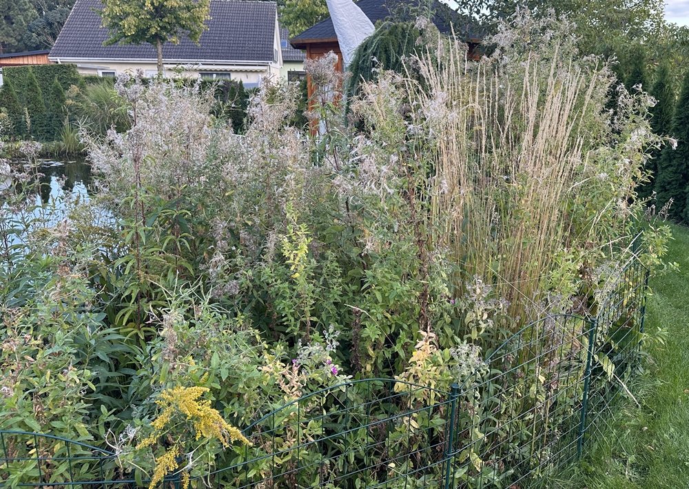 Blog-Inhaltsbild für 'DIY - Themenbezogene Tischdekorationen zur Einschulung selbst gestalten'