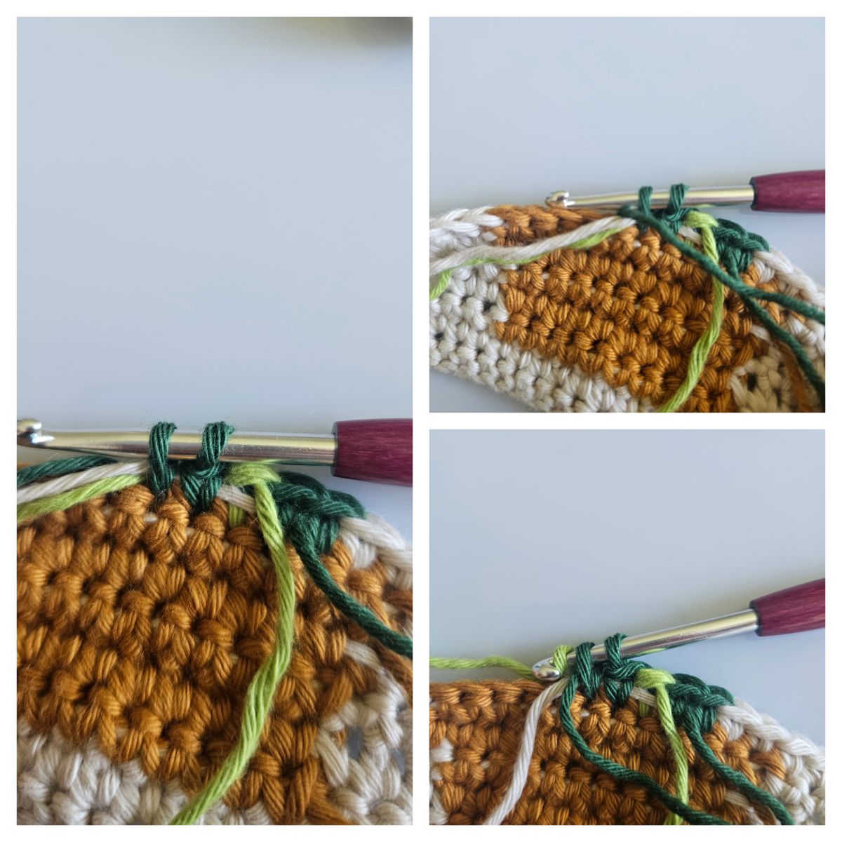 Blog-Inhaltsbild für 'Wie geht Tapestry Häkeln – Ein Anfängerguide'