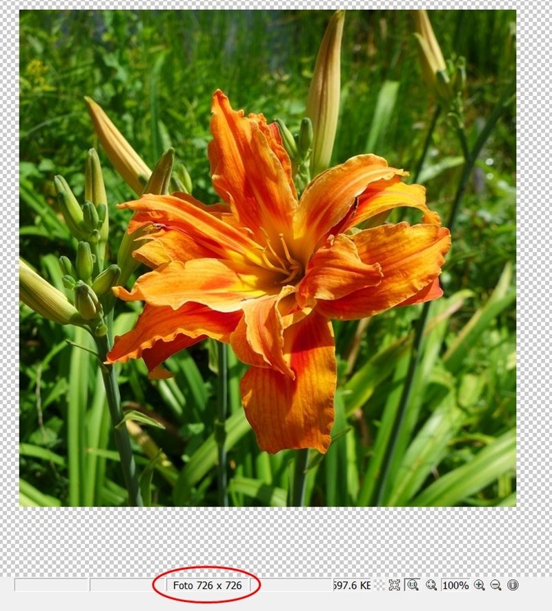 Blog-Inhaltsbild für 'Kostenlose Bastelanleitung Memory-Spiel aus Filz mit Wechselbilderrahmen'