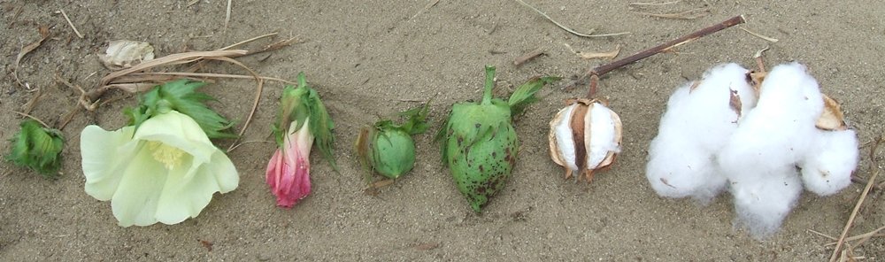 Blog-Inhaltsbild für 'Näh-Workshop Teil 1: Reste-Projekte und Patchwork-Bettdecke fürs Puppenbett'