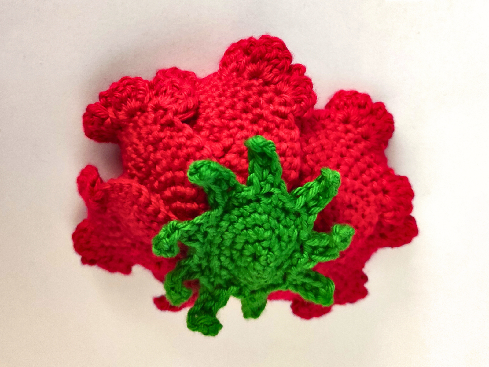 Blog content image for 'Crochet Pattern: Little Bee & Poppy Flower'