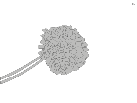 Blog-Inhaltsbild für 'Kostenlose Anleitung für eine schöne Wintermütze'
