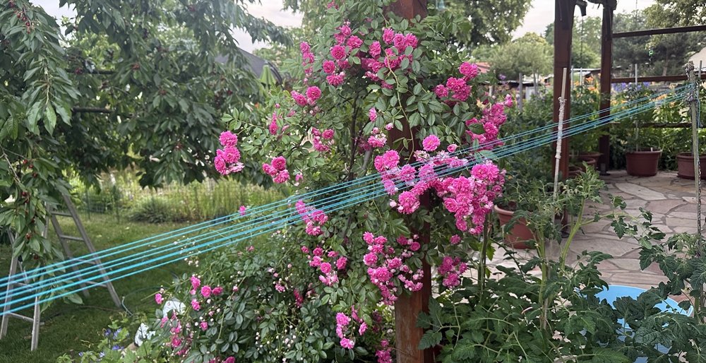 Blog-Inhaltsbild für 'Nähanleitung: Spiele im Sack'