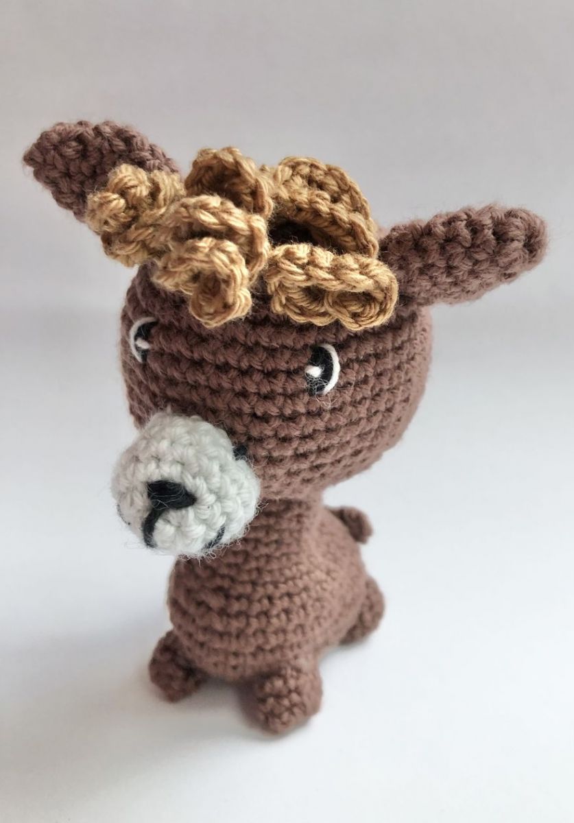 Blog-Inhaltsbild für 'kostenlose Anleitung Alpaka'