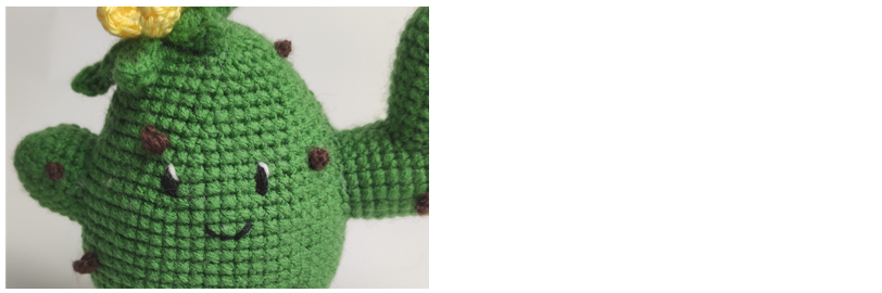 Blog-Inhaltsbild für 'Häkelanleitung Kaktus'