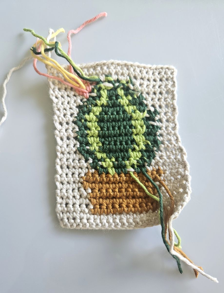 Blog-Inhaltsbild für 'Wie geht Tapestry Häkeln – Ein Anfängerguide'