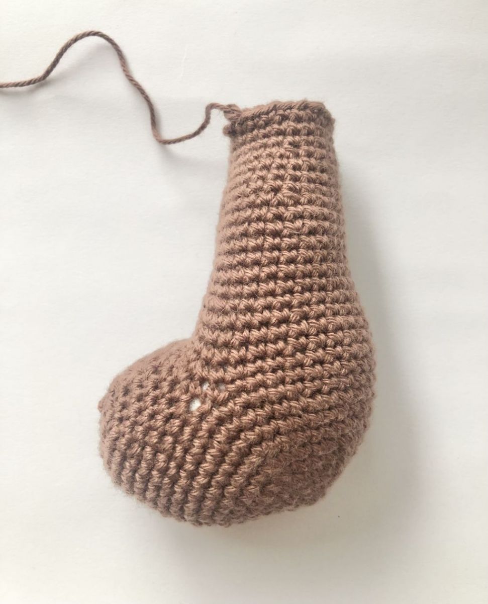 Blog-Inhaltsbild für 'Kostenlose Anleitung Eichhörnchen'