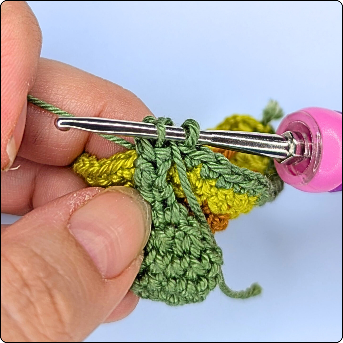 Blog content image for 'Free No-Sew Crochet Pattern: Avocado Keychain'