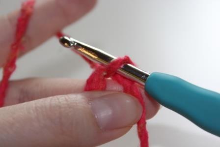 Blog-Inhaltsbild für 'kostenlose Häkelanleitung für eine Baby Mütze mit Tulpenmuster'