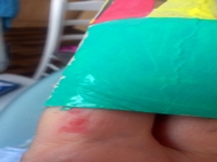 Blog-Inhaltsbild für 'Gratis-Bastelanleitung Toiletten-Rollen-Recycling'