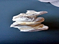 Blog-Inhaltsbild für 'Gratis-Bastelanleitung Toiletten-Rollen-Recycling'