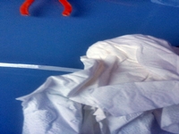 Blog-Inhaltsbild für 'Gratis-Bastelanleitung Toiletten-Rollen-Recycling'