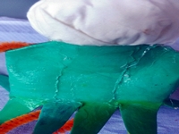 Blog-Inhaltsbild für 'Gratis-Bastelanleitung Toiletten-Rollen-Recycling'