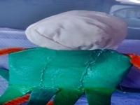 Blog-Inhaltsbild für 'Gratis-Bastelanleitung Toiletten-Rollen-Recycling'