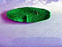 Blog-Inhaltsbild für 'Gratis-Bastelanleitung Toiletten-Rollen-Recycling'