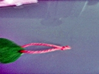 Blog-Inhaltsbild für 'Gratis-Bastelanleitung Toiletten-Rollen-Recycling'