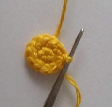 Blog content image for 'Crochet Pattern Chamomile'