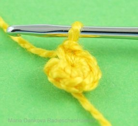 Blog-Inhaltsbild für 'Kostenlose Häkelanleitung für Gänseblümchen in 3 Größen'