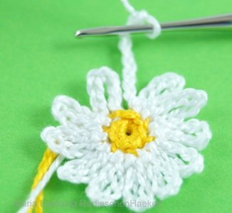 Blog-Inhaltsbild für 'Kostenlose Häkelanleitung für Gänseblümchen in 3 Größen'