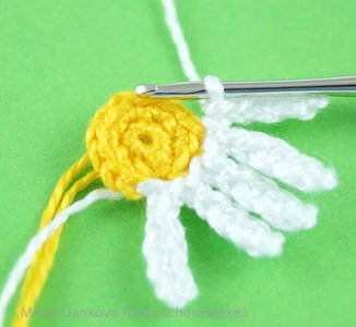 Blog-Inhaltsbild für 'Kostenlose Häkelanleitung für Gänseblümchen in 3 Größen'