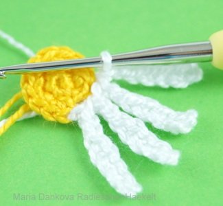 Blog-Inhaltsbild für 'Kostenlose Häkelanleitung für Gänseblümchen in 3 Größen'